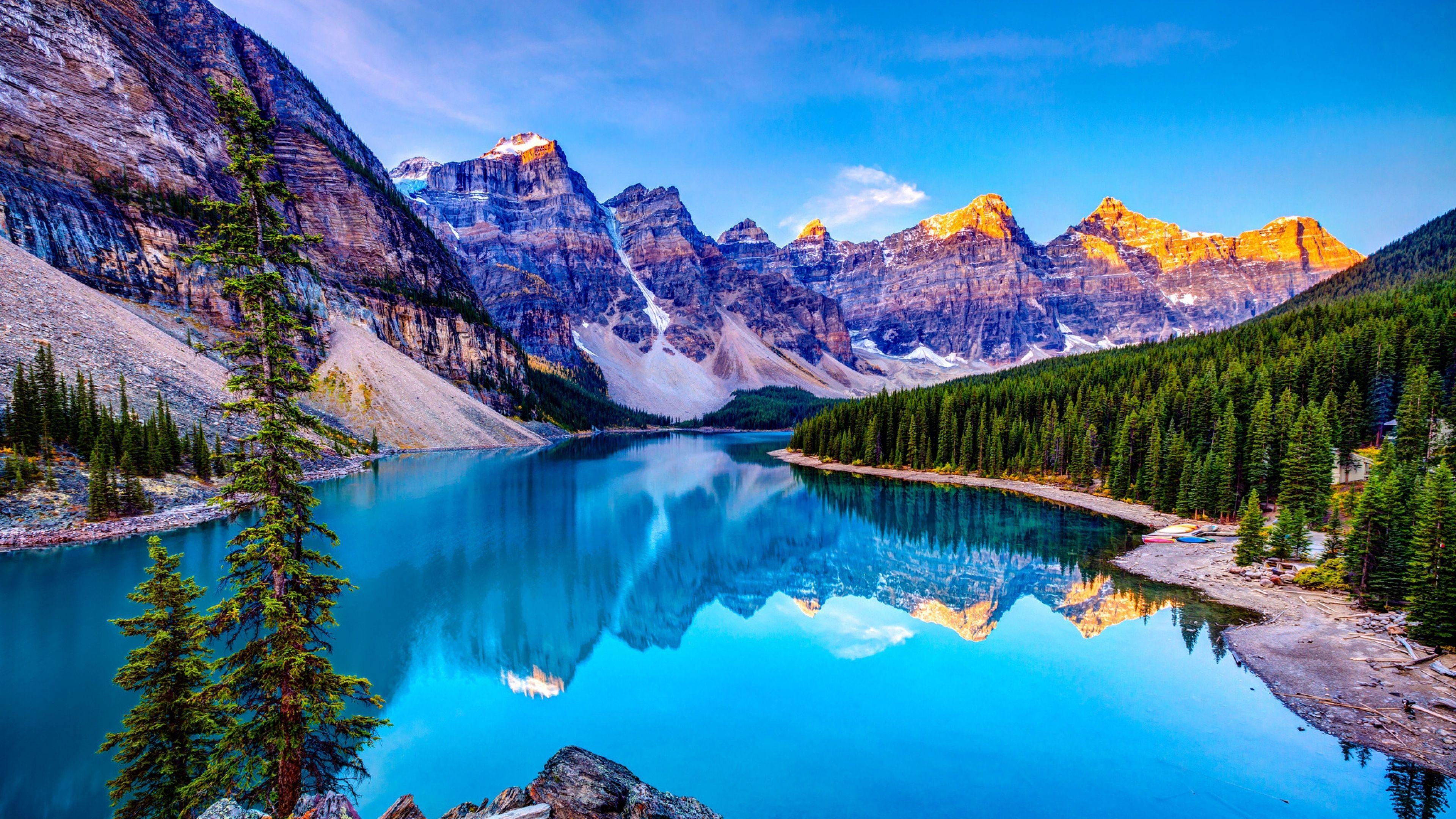 Air Cooler Check-up