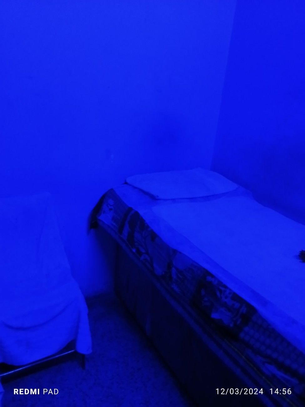 Talab Spa