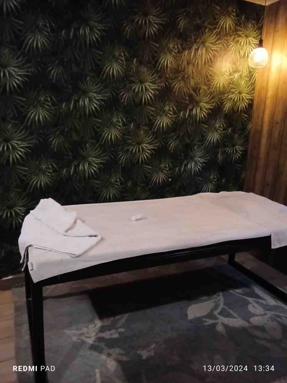spa-img